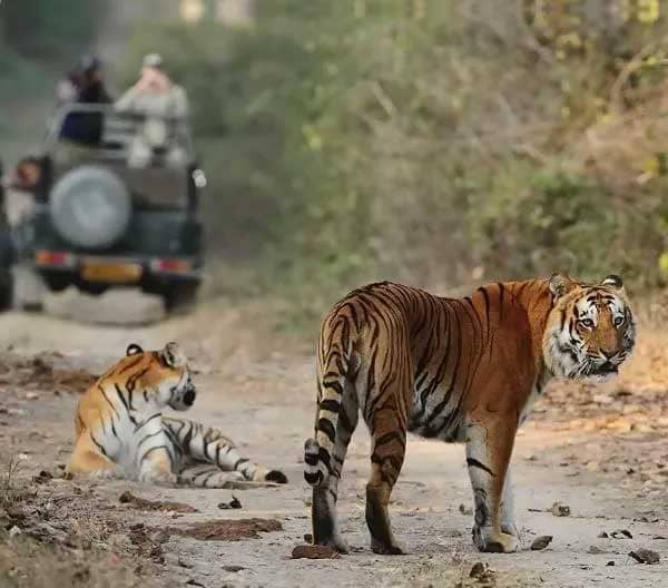 3 Days Delhi Jim Corbett Tour