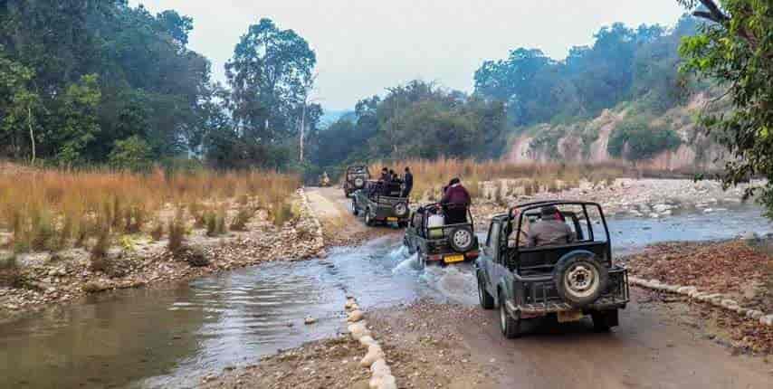 jim corbett