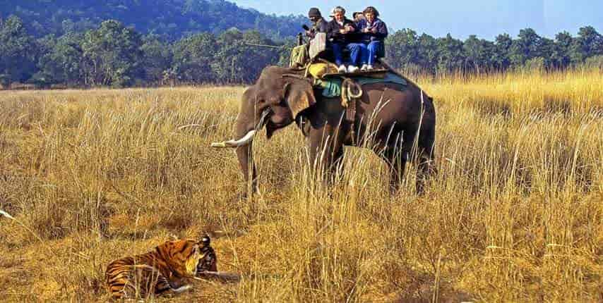 jim corbett